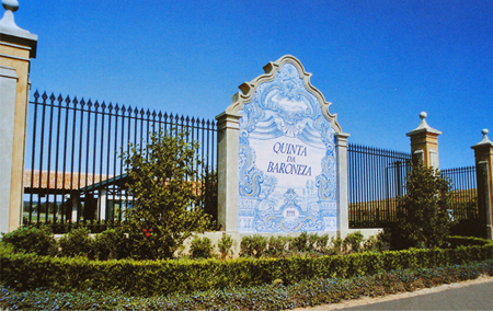 035- Condominio Quinta da Baroneza