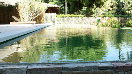 104- Vista do jardim da casa para piscina